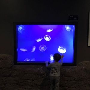 Meet your Posher, Zhijun